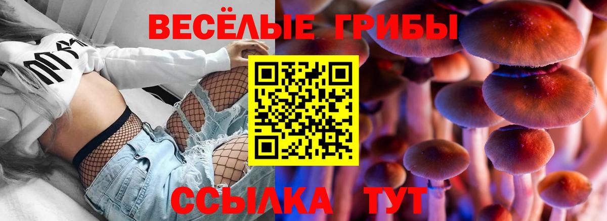 Галлюциногенные грибы Cubensis  Вход с VPN  Выкса 